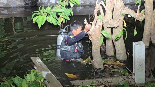 นนทบุรี : ตาวัย 82 ปี ลงน้ำตัดต้นไม้ริมคลองก่อนหายตัวปริศนา ญาติวอนชาวโซเชียลช่วยตามหา