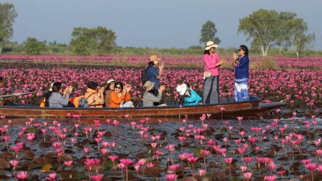 นครสวรรค์ : อบจ. ล่องเรือชมทุ่งบัวแดง บึงบอระเพ็ด เชิญชวนท่องเที่ยวสัมผัสธรรมชาติ รับลมหนาว