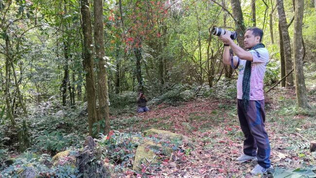 พิษณุโลก : ชมเมเปิ้ลแดง หน่วยพิทักษ์อุทยานหมันแดง ภูหินร่องกล้า อ.นครไทย