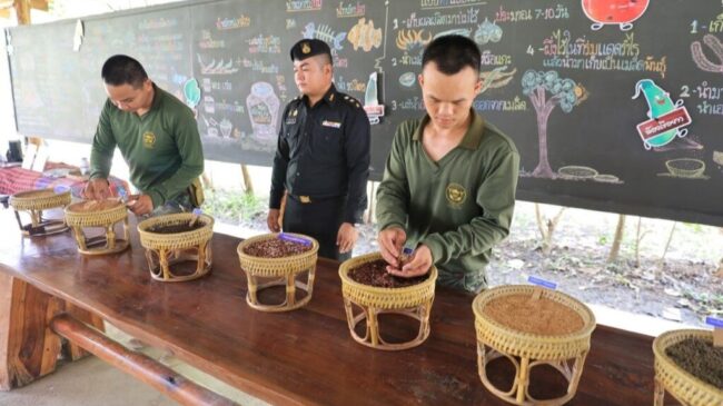ศูนย์ผลิตเมล็ดพันธุ์พืชพระราชทาน “เพื่อนช่วยเพื่อน” พื้นที่ภาคเหนือตอนล่าง เพื่อความมั่นคงด้านอาหารในพื้นที่ภาคเหนือ