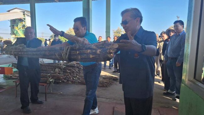 มุกดาหาร : พิธีโยนอ้อย เริ่มฤดูกาลคาดเงินสะพัดกว่า 1,000 ล้านบาท