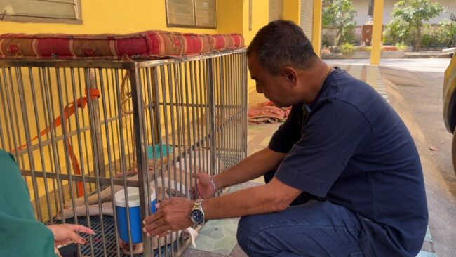 นนทบุรี : เปิดใจหลานสาวพระถูกสุนัขพิตบูลกัด วอนสื่ออย่าลงข่าวมั่ว สุนัขพูดไม่ได้ ต้องตกเป็นจำเลยสังคมไม่มีใครกล้านำไปเลี้ยง