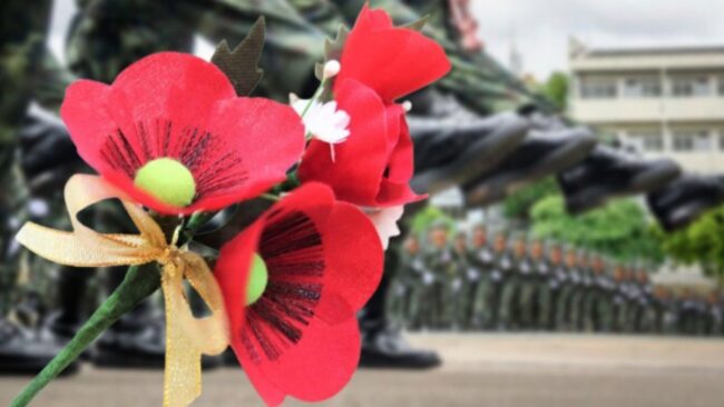 ดอกป๊อปปี้ และวันทหารผ่านศึก 3 กุมภาพันธ์