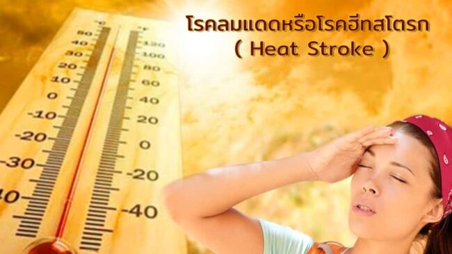 แพทย์ทหารเตือนภัยร้ายช่วงหน้าร้อน “โรคลมแดด หรือ ฮีทสโตรก (Heat Stroke)”