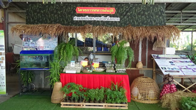 พิษณุโลก : งานมหกรรมการเกษตร เพื่อเกษตรกร เนื่องในวันพืชมงคล กองพลพัฒนาที่ 3 ร่วมแสดงผลผลิต