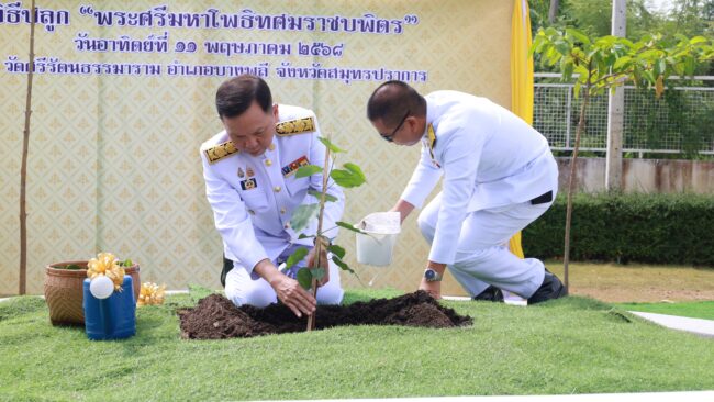 สมุทรปราการ : พิธีปลูก “พระศรีมหาโพธิทศมราชบพิตร” เนื่องในวันวิสาขบูชา ประจำปี 2568 พร้อมทุกจังหวัดทั่วประเทศ