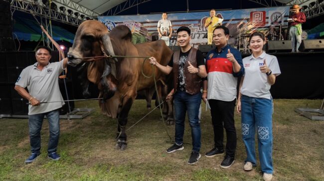 มหกรรมวัวงาม ของดีลำนารายณ์’ เปิดตัวยิ่งใหญ่