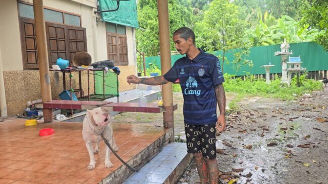นนทบุรี : หนุ่มโจคนดังวอนกันจอมพลังช่วย ขณะ FC เป็นห่วงมอบสุนัขพันธุ์พิทบูล 2 ตัว ไว้ช่วยเฝ้าบ้าน