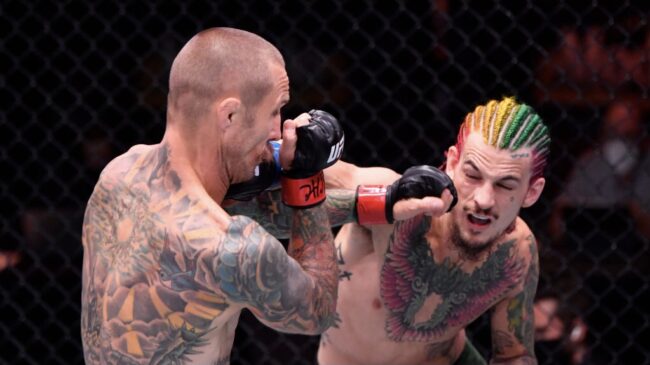 โอมัลลีย์ ชี้เสียแชมป์คือบทเรียน โวขึ้นสังเวียนทวงคืนจาก ดวาลิชวิลี UFC316 อาทิตย์นี้
