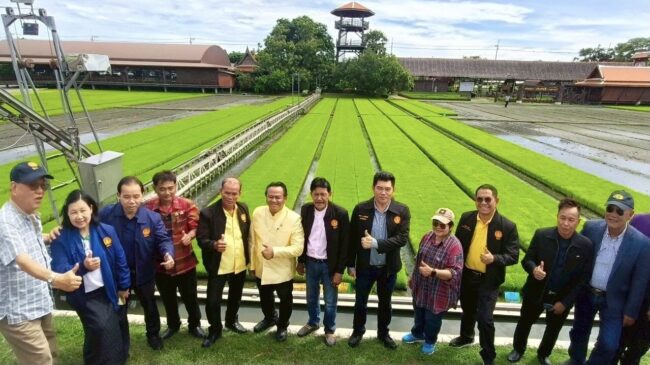 สว.หนุน”กฎหมายข้าว”พลิกโฉมชีวิตชาวนา