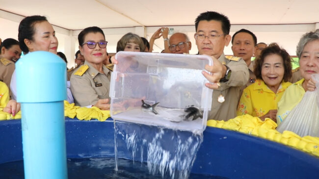 ปล่อยพันธุ์สัตว์น้ำ เฉลิมพระเกียรติ