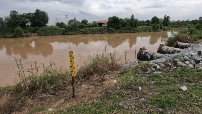 ต้องยื้อไว้น้ำไว้ 2-3 สัปดาห์