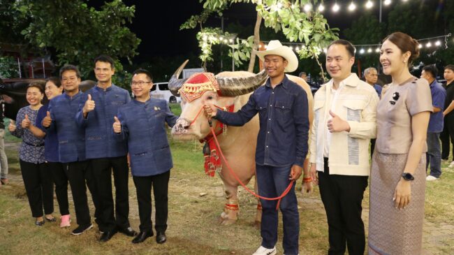 ประกวดควายสวยงามชิงถ้วยพระราชทานณฯ ครั้งที่ 4